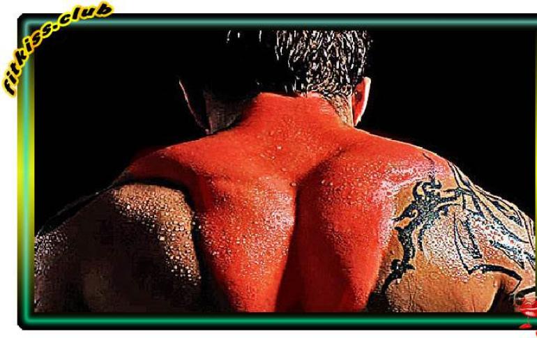 Тренировать мышцы трапеции вместе с плечами или спиной?