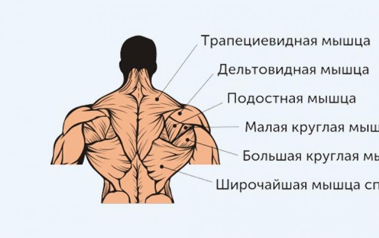 Shoulder exercises in the gym for men A set of shoulder exercises in the gym