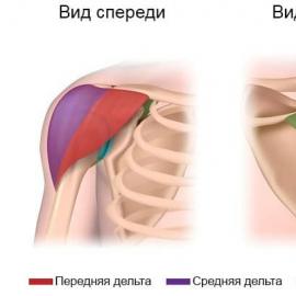 Deltoid muscle hurts: what to do?